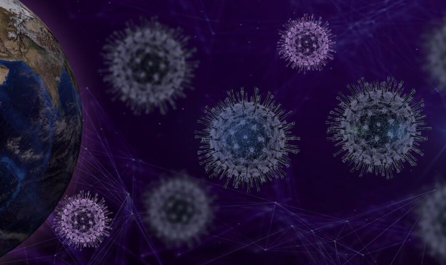 Somali leader infected with Covid after first trip abroad